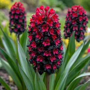 Гиацинт Джем Стоун купить по цене от 2099р. в интернет-магазине «Посадика» с доставкой почтой в в Шадринске и по всей России – [изображение №1].