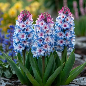 Гиацинт Пинк Мари купить по цене от 2099р. в интернет-магазине «Посадика» с доставкой почтой в в Шадринске и по всей России – [изображение №1].