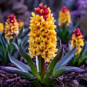 Гиацинт Миднайт Мистери купить по цене от 2099р. в интернет-магазине «Посадика» с доставкой почтой в в Шадринске и по всей России – [изображение №1].