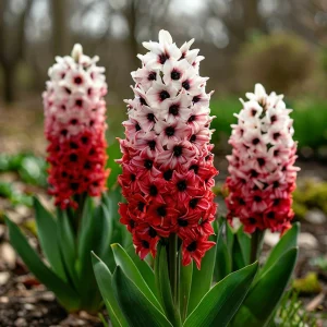 Гиацинт Скай Гарден купить по цене от 2099р. в интернет-магазине «Посадика» с доставкой почтой в в Шадринске и по всей России – [изображение №1].